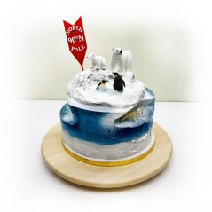 Narodeninový zápich Severný pól North pole